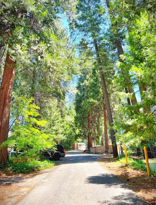 Pollock Pines Mobile Home Park Picture 2