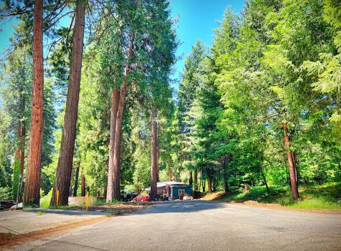 Pollock Pines Mobile Home Park Picture 4