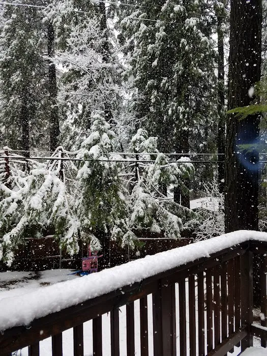 Sierra Pines Mobile Home Park Picture 3