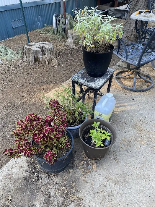 Sierra Pines Mobile Home Park Picture 8