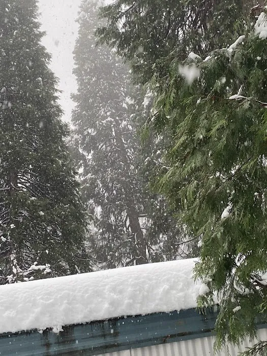 Sierra Pines Mobile Home Park Picture 6