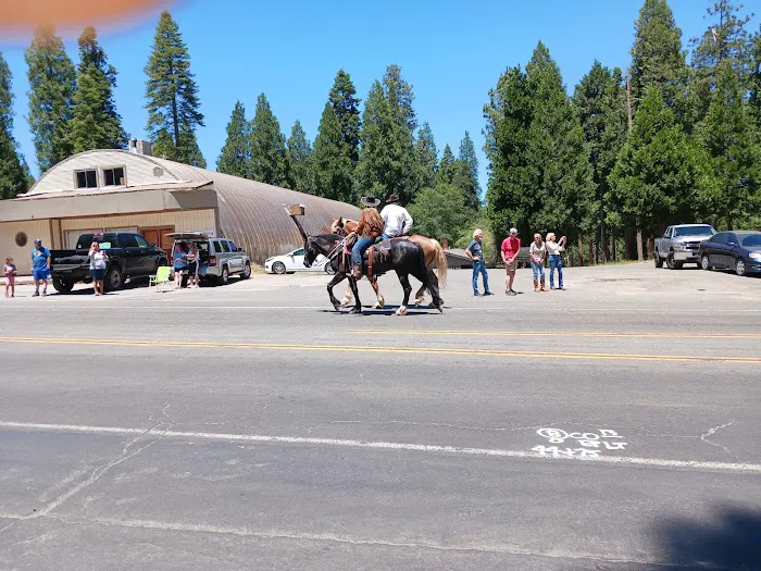 Sierra Pines Mobile Home Park Picture 7