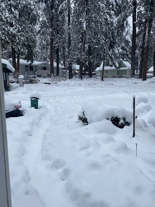Sierra Pines Mobile Home Park Picture 1