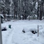 Sierra Pines Mobile Home Park