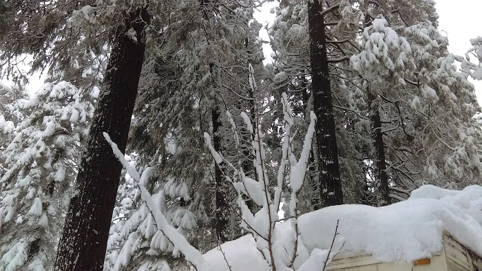 Sierra Pines Mobile Home Park Picture 9