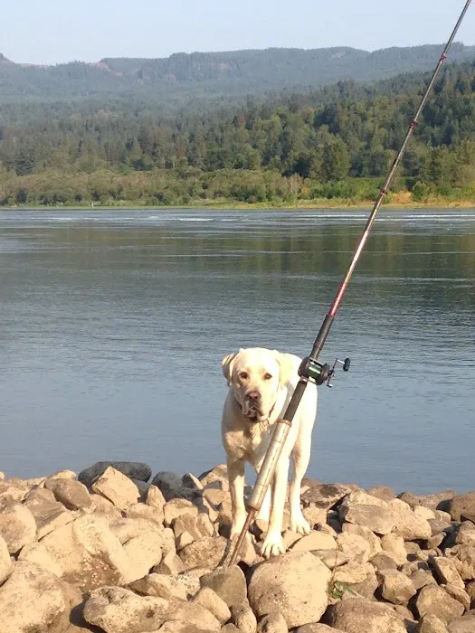 Fishery Inc Picture 7