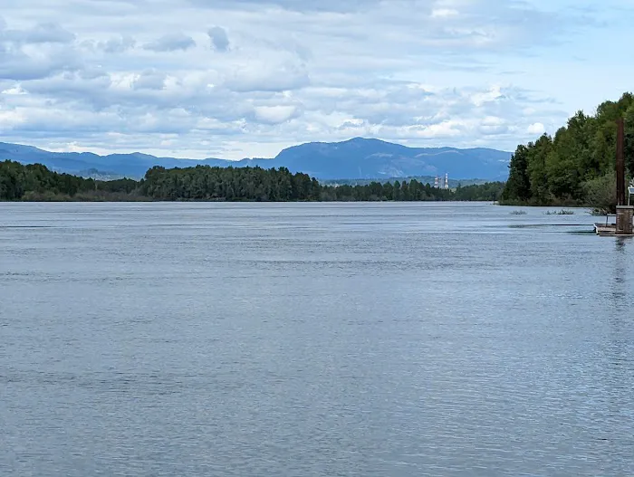 Fishery Inc Picture 9