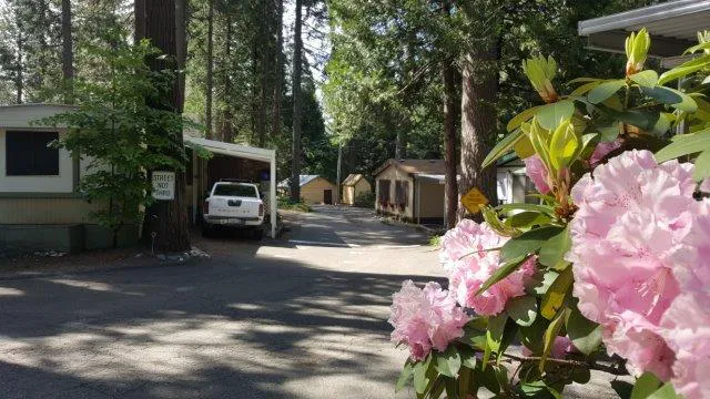 Bonanza Mobile Home Park Picture 5