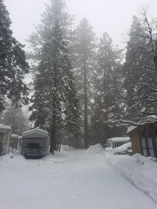 Dogwood Mobile Home Park Picture 2