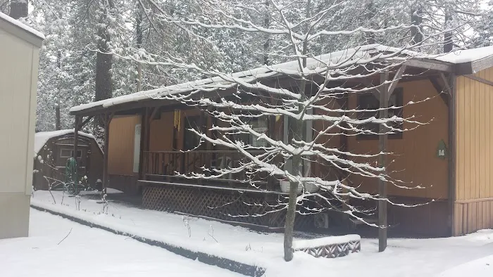 Dogwood Mobile Home Park Picture 5