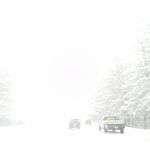 Dogwood Mobile Home Park