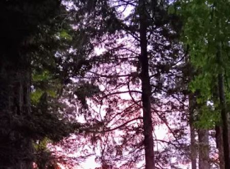 Eagle Creek Campground