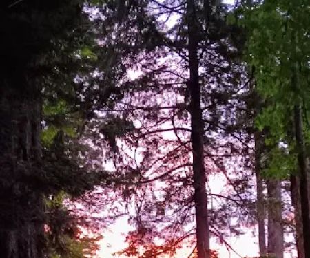 Eagle Creek Campground