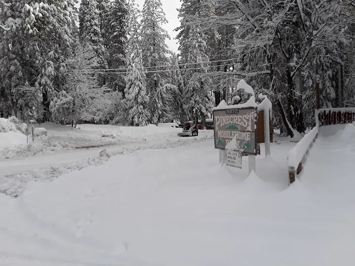 Pinecrest Mobile Home Park Picture 5