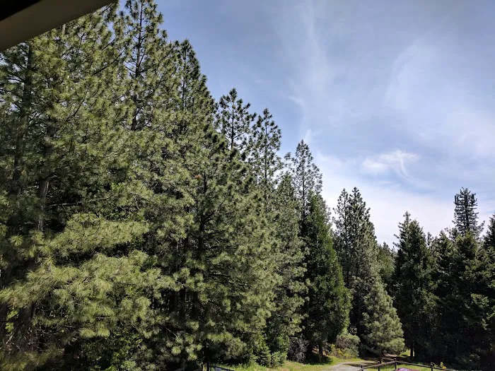 Pinecrest Mobile Home Park Picture 9