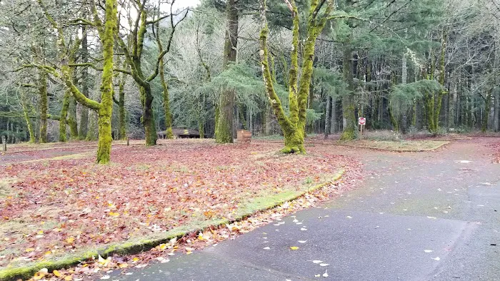Wyeth Campground Picture 3