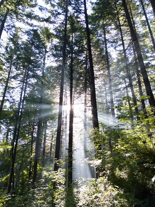 Wyeth Campground Picture 7