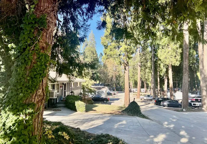 Hidden Glen Mobile Home Park Picture 6