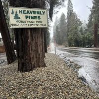 Heavenly Pines MHP ico