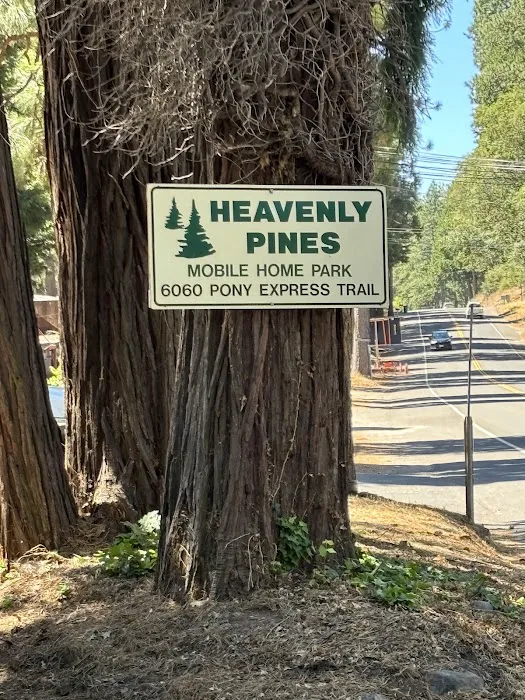 Heavenly Pines MHP Picture 4