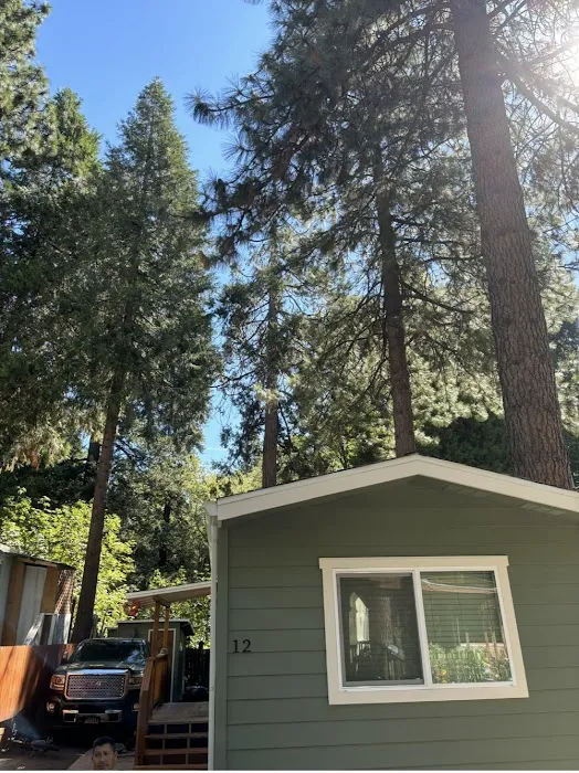 Heavenly Pines MHP Picture 2