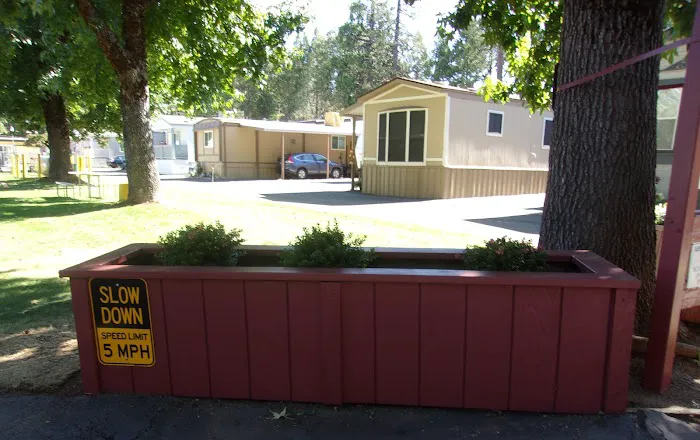 Ponderosa Mobile Estates Picture 3