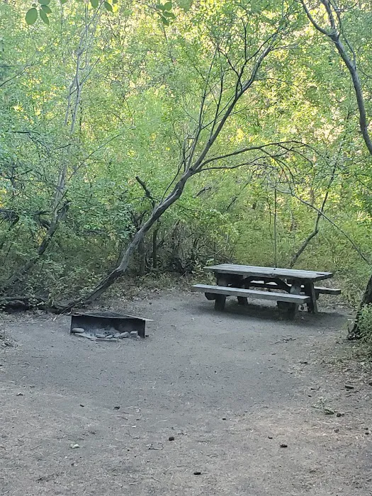 Windy Point Campground Picture 7