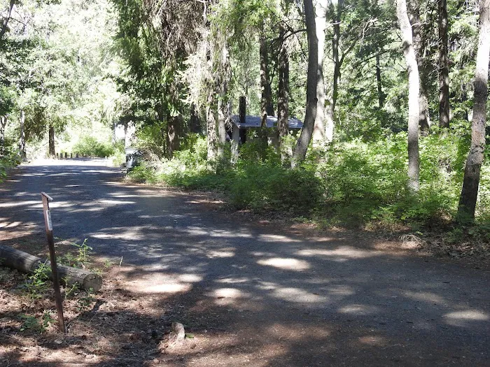 Windy Point Campground Picture 10