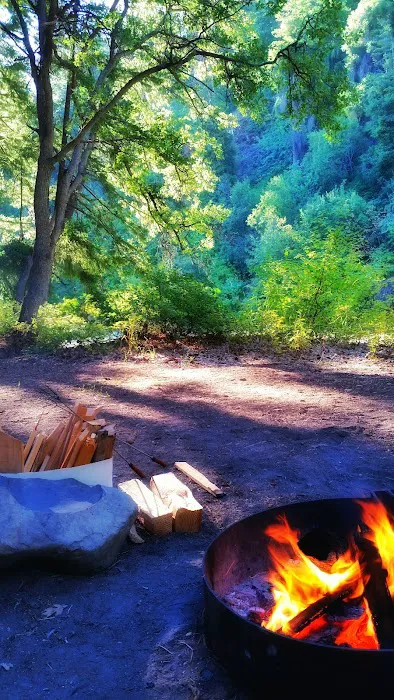 Windy Point Campground Picture 3