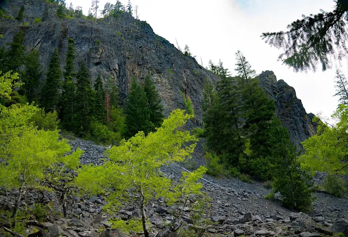 Windy Point Campground Picture 8