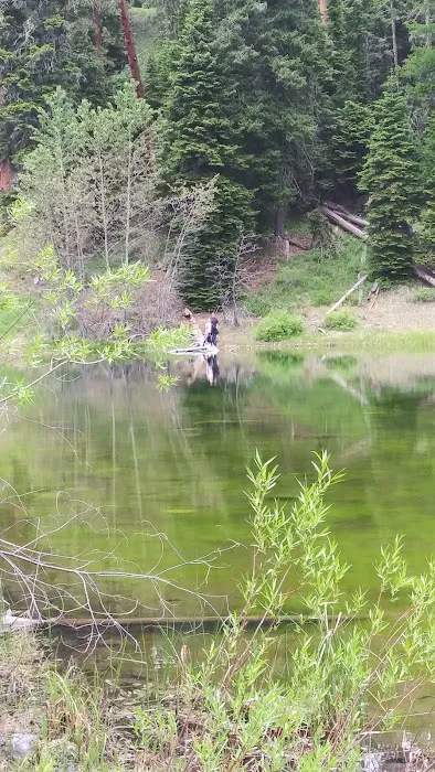 Bear Lake Campground Picture 3