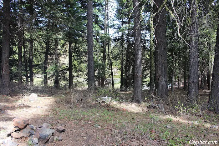 Bear Lake Campground Picture 5
