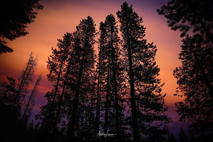 Bear Lake Campground Picture 9