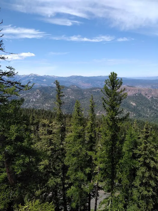 Bear Lake Campground Picture 8