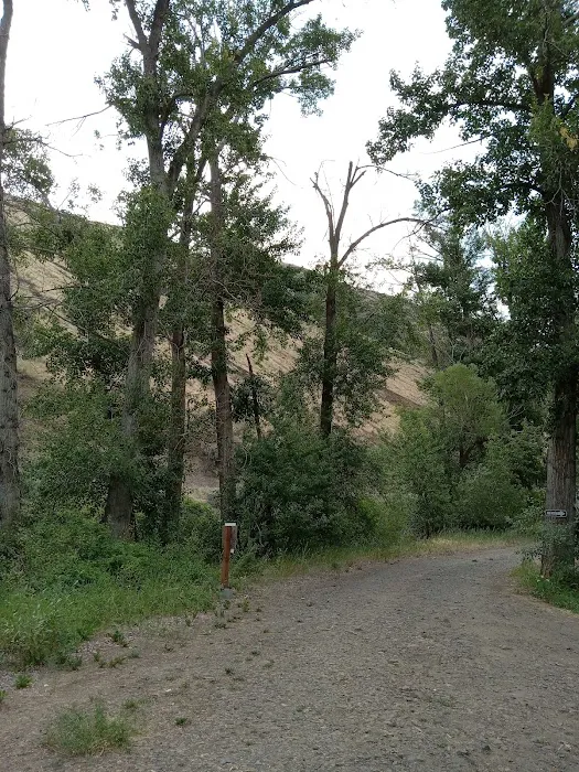 Bighorn Campground Picture 6