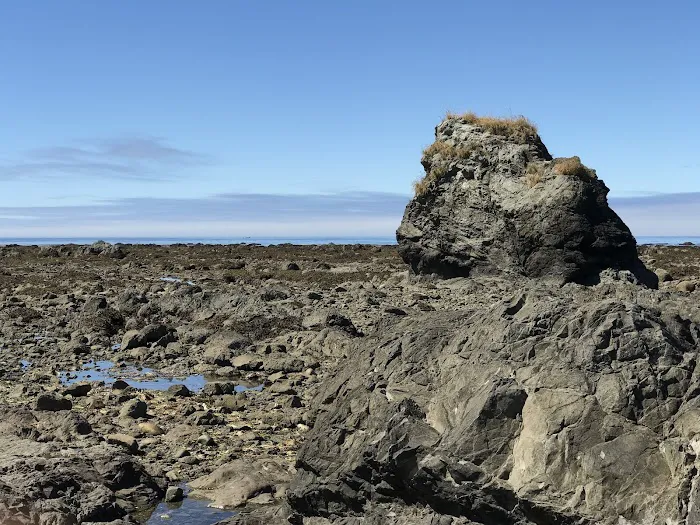 South Sand Point Picture 10