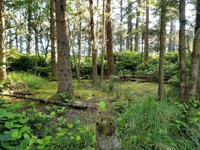Sand Point Picture 6