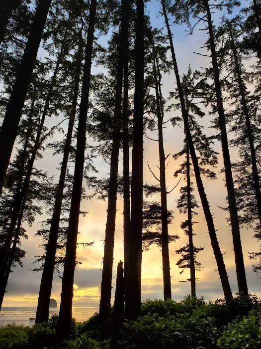 Sand Point Picture 9