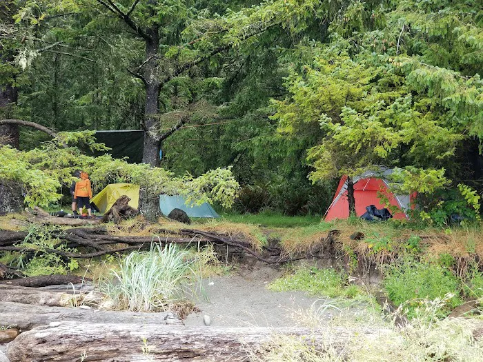 Cape Alava Picture 1