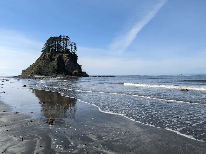 Cape Alava Picture 2