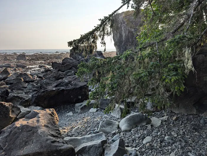 Cape Alava Picture 3