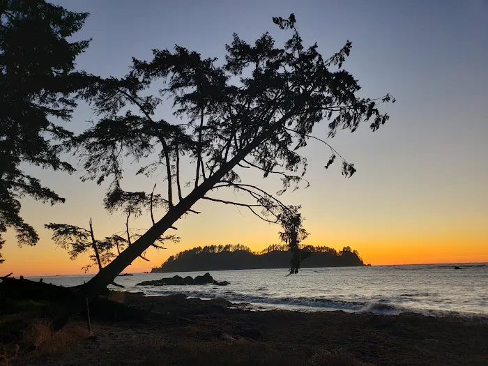 Cape Alava Picture 7