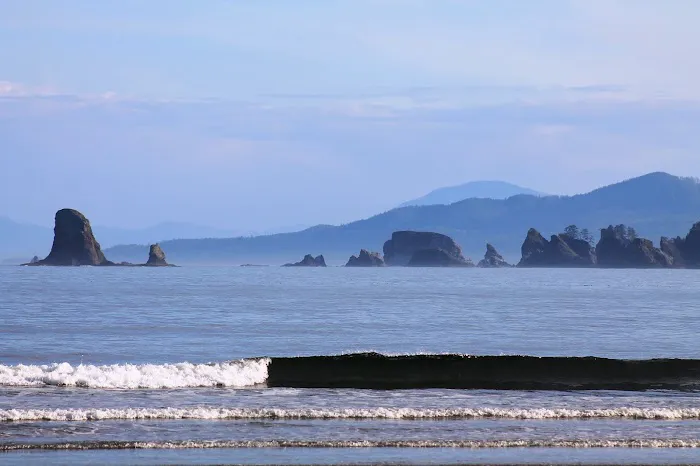 North Ozette River Picture 6