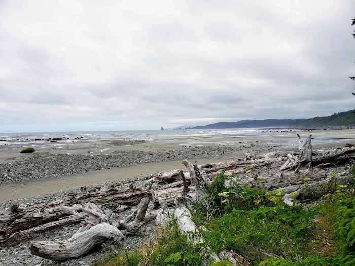 North Ozette River Picture 1