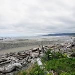 North Ozette River