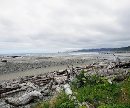 North Ozette River