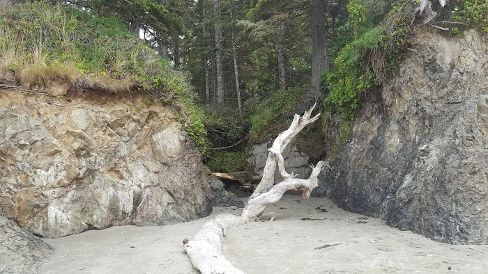 South Ozette River Picture 4