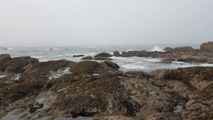 South Ozette River Picture 5