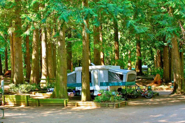 Lynden / Bellingham KOA Journey Picture 6