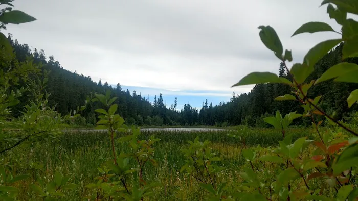 Buck Lake Campground Picture 6